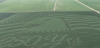 Nebraska farmer creates American flag and eagle design in 70-acre soybean field for 4th of July