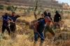 Elderly man said injured as settlers attack Palestinians, foreign volunteers in West Bank