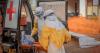 Ebola cases in DRC rise to 1,500 and deaths exceed 473
