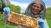 Saving Irish honey bees: ‘I was terrified of bees — now I run a beehive business’