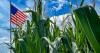 The Zipline: Celebrating 250 years of American agriculture