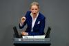 World AFP Mass protests expected as German far-right AfD meets