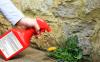 Does Monsanto v. Durnell bar California from adding its own health warnings to pesticide labels?