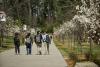 International student enrollment down sharply at 3 Arkansas universities