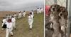 Prosecutors charge 47 people in March 'open rescue' of Ridglan Farms beagles