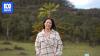 Endangered pine forest grown with people's cremated ashes opens