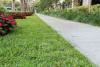 Virginia woman comes home from the park to find police-surveillance pole planted in her front yard