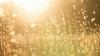 Weather & Traffic: Saturday 4 July: sunny and dry