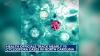 More than 60 North Carolina cases tied to parasite behind 'explosive diarrhea'
