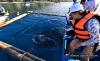 Whale of a Mission: Gov. Pam Dives Into Sustainable Tourism in Oslob