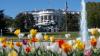 U.S. Government Breaks Another Tradition With New Construction On The White House's South Lawn