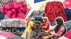 In Panipat: How the world's textile trash gets a second life