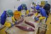 Indonesia's fishery exports reach US$3 billion in first half of 2026