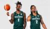 FIBA World Cup qualifier: D’Tigers beat Guinea to record second win