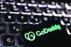 World’s top domain seller GoDaddy challenges India’s web crackdown