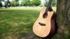 Meet the Tipperary farmer who sold his best cow to buy a guitar
