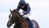 Saturday racing preview: Florida Bay should have enough at Naas