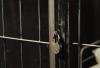 Manager jailed for forced labour and human trafficking
