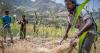 Ethiopia Omitted from Global Food Crisis Report as Lack of Data Clouds Hunger Assessment