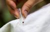 Ticks on the rise in Illinois due to milder winters, scientists say