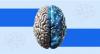 How Is Technology Redefining Human Memory?