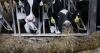 Wisconsin’s agriculture history goes far beyond dairy cows