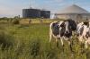 Farming: Joint Committee on Agriculture and Food publishes report on anaerobic digestion