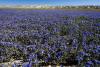 California Heat Wave 2026: How Hot, Where, and How to Stay Cool