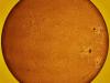 Sunspots 10 times wider than Earth seen from UAE