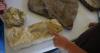 Young explorers dig into Illinois prehistoric past at library