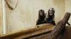 The Netherlands will continue to allow testing on monkeys for at least the time being