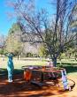 Kimberley’s Queens Park receive major facelift