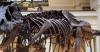 Cannon Valley Senior Center: ‘Sizzlin’ Tour’ to Chicago coming up this fall