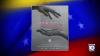 Miami Beach studio turns yoga session into relief effort for Venezuela