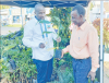 Research institute pushes farmers toward modern high-yield crops for prosperity