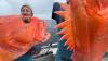 Gargantuan Rockfish Pulled From The Depths Of Alaska Ocean By Florida Man Is Older Than Your Grandmother