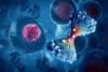 Scientists Warn: Colorectal Cancer Is Rising Fast in Younger Adults, Reversing Decades of Progress