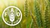 FAO: Global Food Prices Rise 2.2%