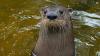 How Wonder Gardens protects animals during hurricane season | Opinion 