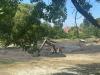 Iowa State University Lake LaVerne project dredges up history, items lost to time