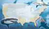America's shark attacks MAPPED: Deadly capital, little-known hotspot where sightings are surging... and the 'Great White Alley' shift beachgoers cannot ignore