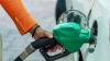 E20 even powers F1 cars: Auto experts dismiss concerns, back govt amid backlash