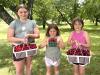 Last year, Norfolk County farms produced eight million pounds of sour cherries. This year? None. Here’s why
