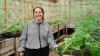 Community greenhouse in Beaver Creek, Yukon, tackles food security at the roots
