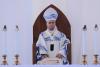 American-born pope urges US to welcome and protect immigrants in Fourth of July letter
