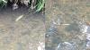 Pollution probe nears completion