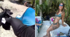 Disturbing bodycam video shows aftermath as Florida woman is mauled by 12ft alligator