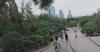 British vlogger witnesses how Xinjiang enjoys fruits of China's green energy boom