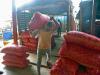 Business News | Govt Raises Onion Procurement Price by 13% to Rs 2,125/quintal to Ensure Better Returns for Farmers