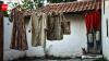 Bulgarian proverb of the day: "If you don't patch your old cloth, you will not wear a new one", an age-old wisdom on management